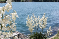 Gyékényes szállás